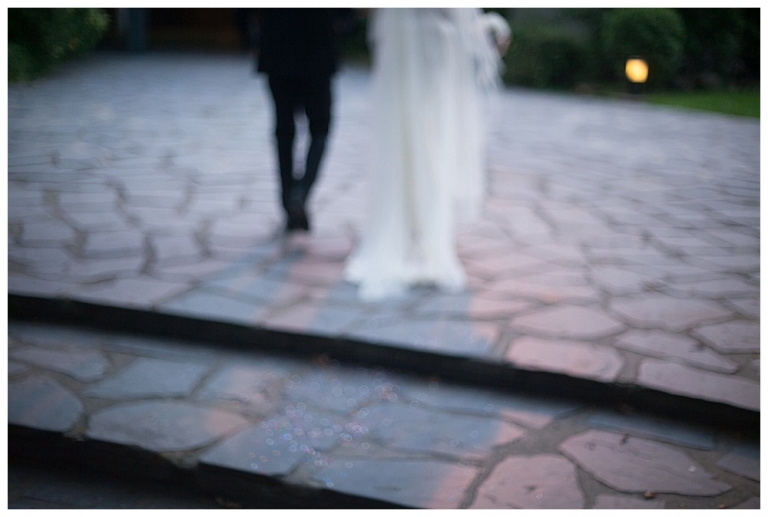Photographe de Mariage Paris