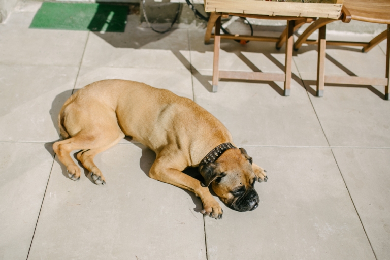 Mariage à Calas, Ste Maxime 