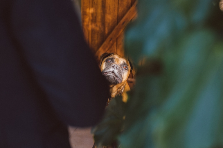 Mariage à Calas, Ste Maxime 