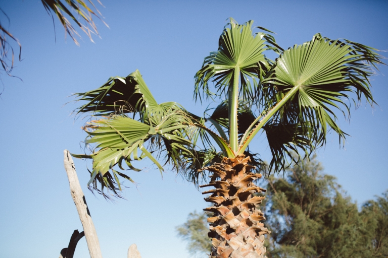 Mariage à Calas, Ste Maxime 