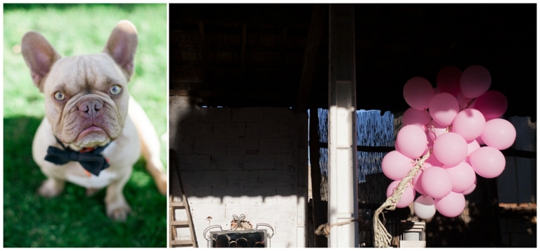 wedding in the Luberon