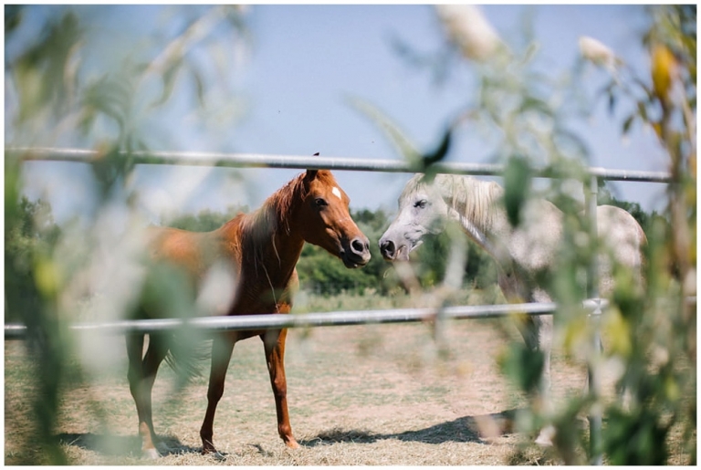 Mariage laïque à Cassis
