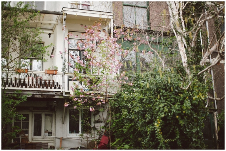 Roadtrip à Amsterdam King's day  