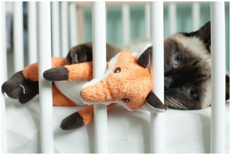 Séance photo famille à domicile 19e arrondissements Paris