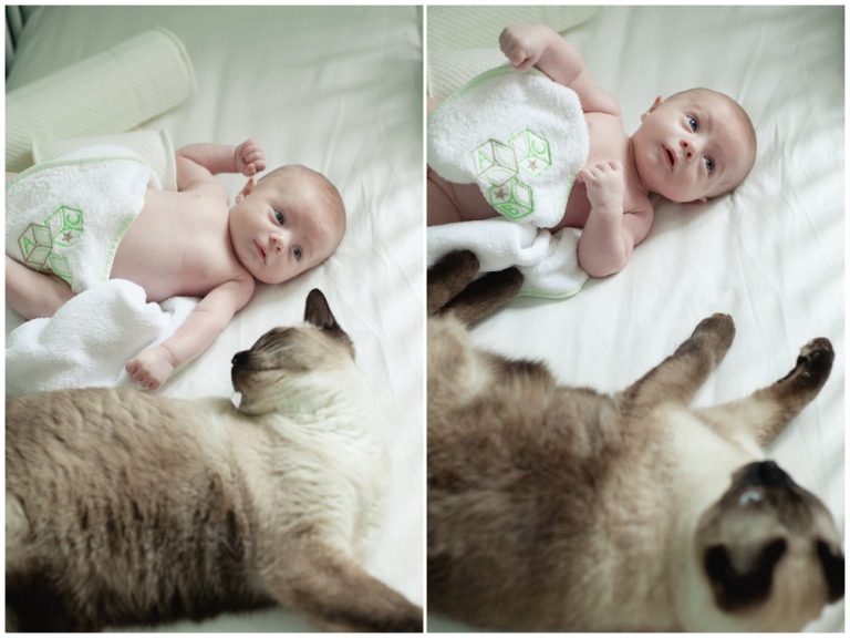 Séance photo famille à domicile 19e arrondissements Paris