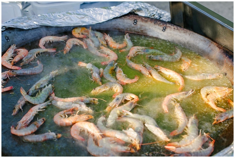 Mariage à Eygalières, Alpilles