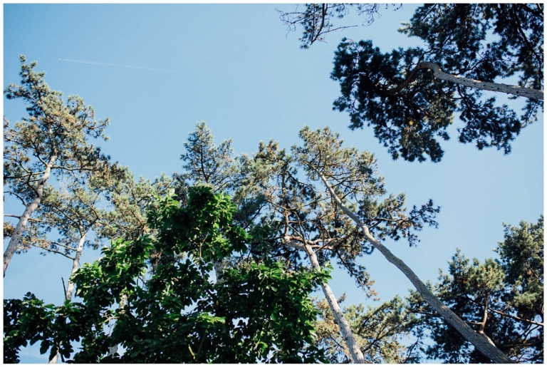 Seance engagement au Parc Floral - Paris