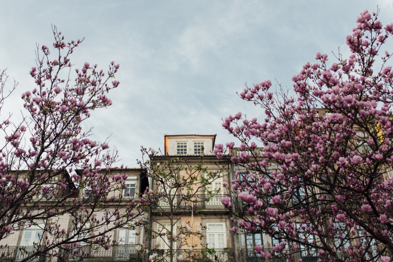 Roadtrip à Porto Portugal