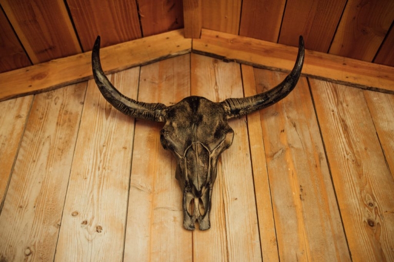 Wedding Domaine Sainte Colombe, Saint-Gilles, Gard