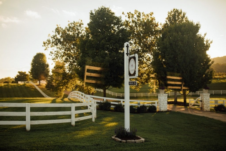vineyard charlottesville destination wedding charlottesville weddingphotographer