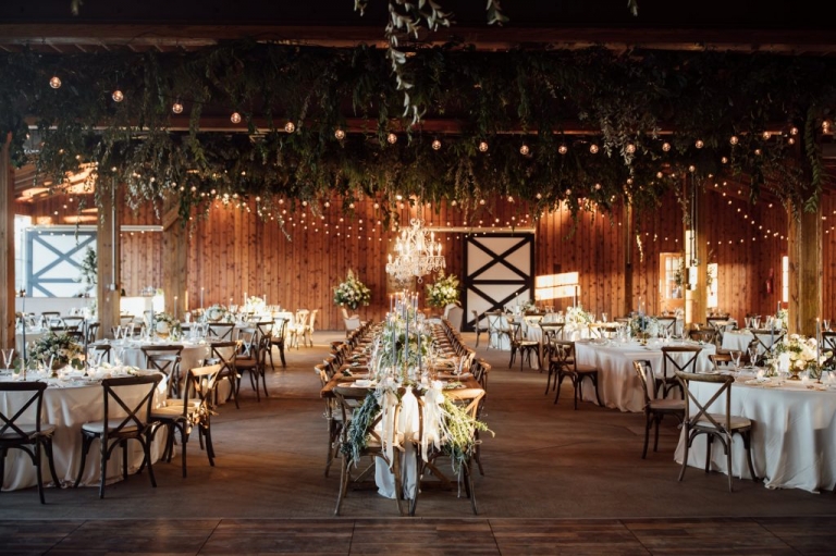 vineyard charlottesville destination wedding charlottesville weddingphotographer