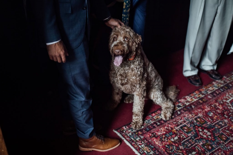 Photographe de mariage Charlottesville