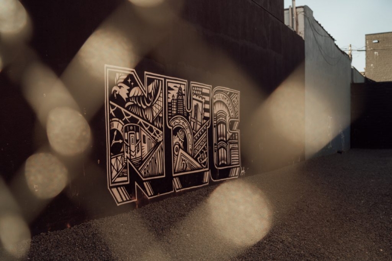 photographe engagement Brooklyn