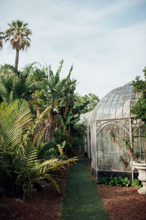 photographe mariage les Pins Penchés