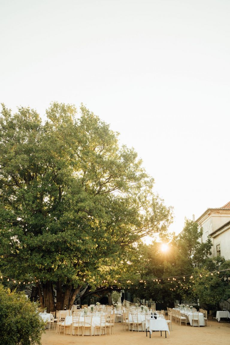 a wedding in Estufa Real Lisbon 