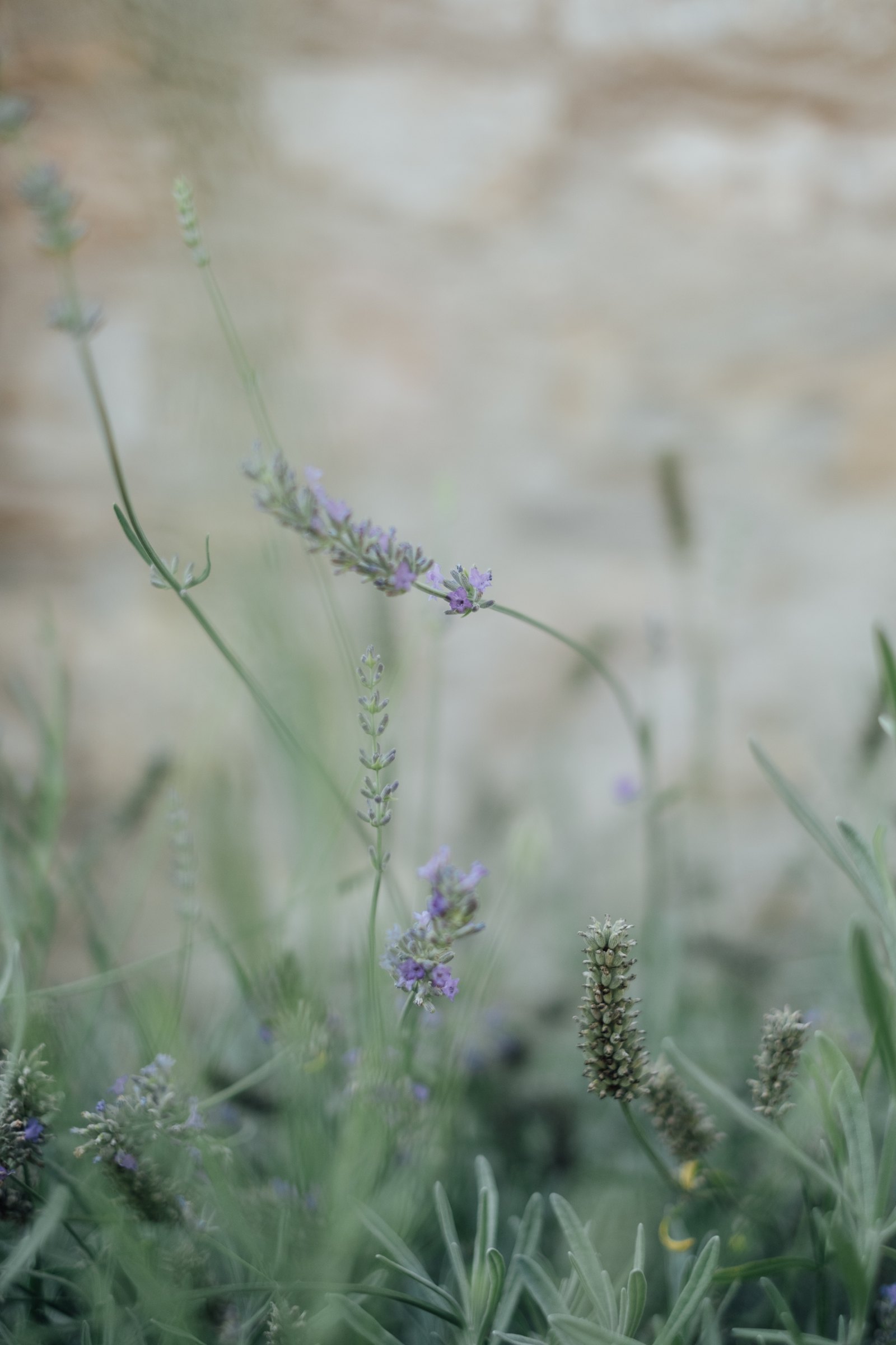 Anaïs & Thomas wedding in Umbria, Italy, by Alex Tome