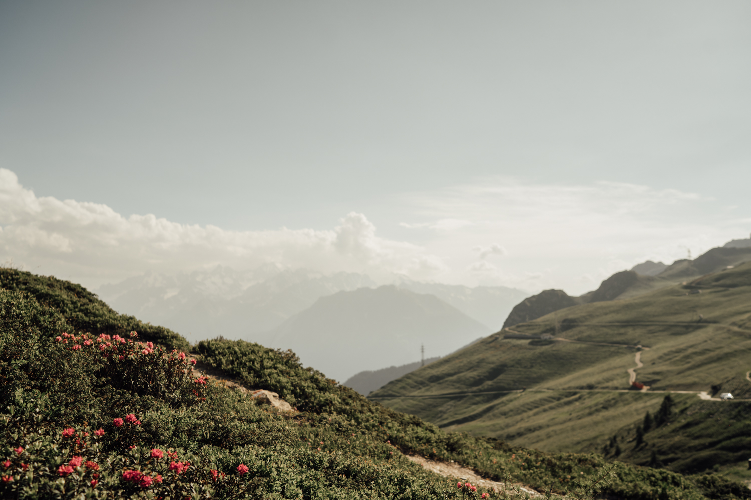 Céline & Adrian wedding at Verbier, Suisse, by Alex Tome