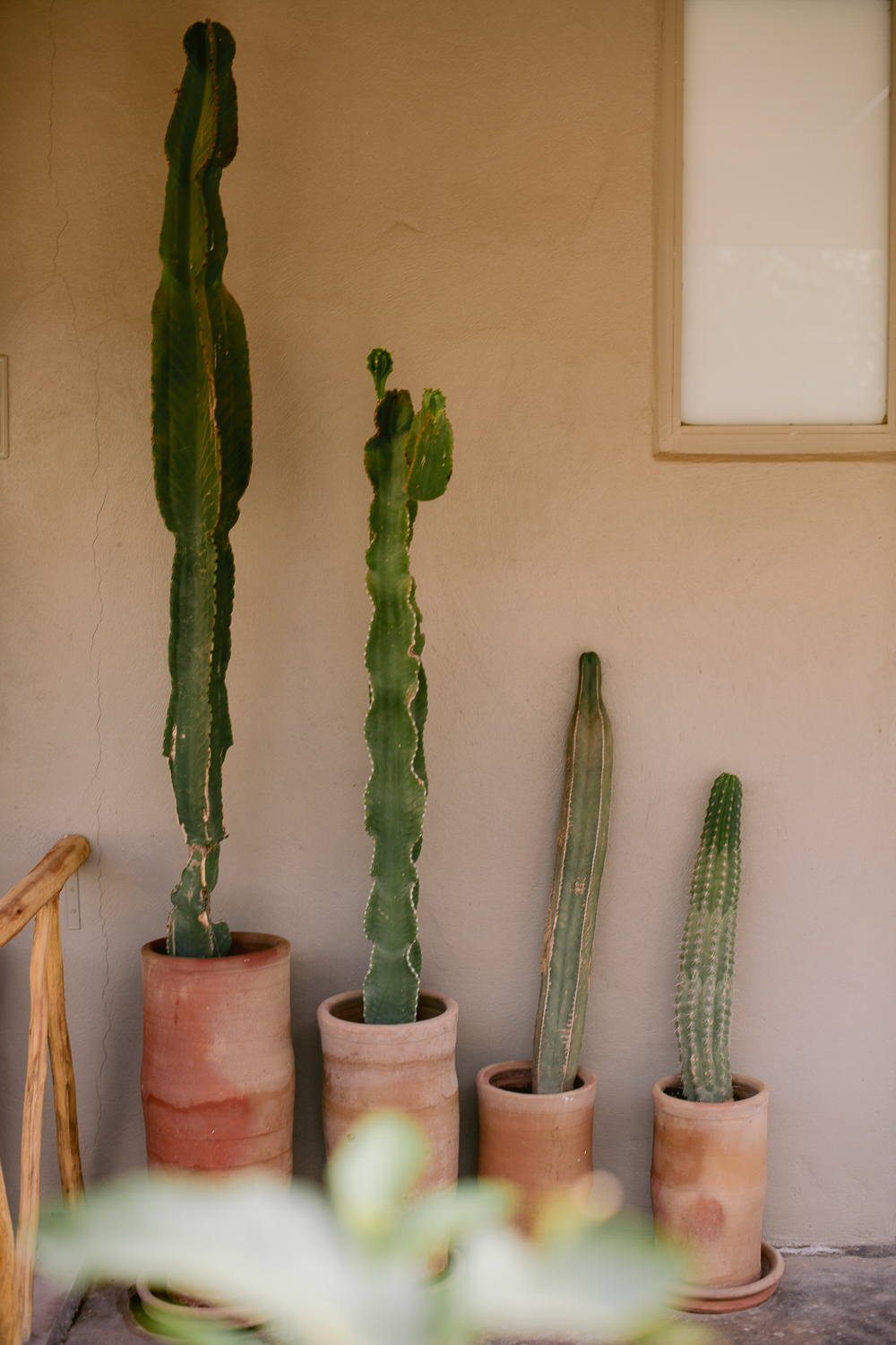 Matilde & Thomas wedding at Marrakech, Morocco, by Alex Tome