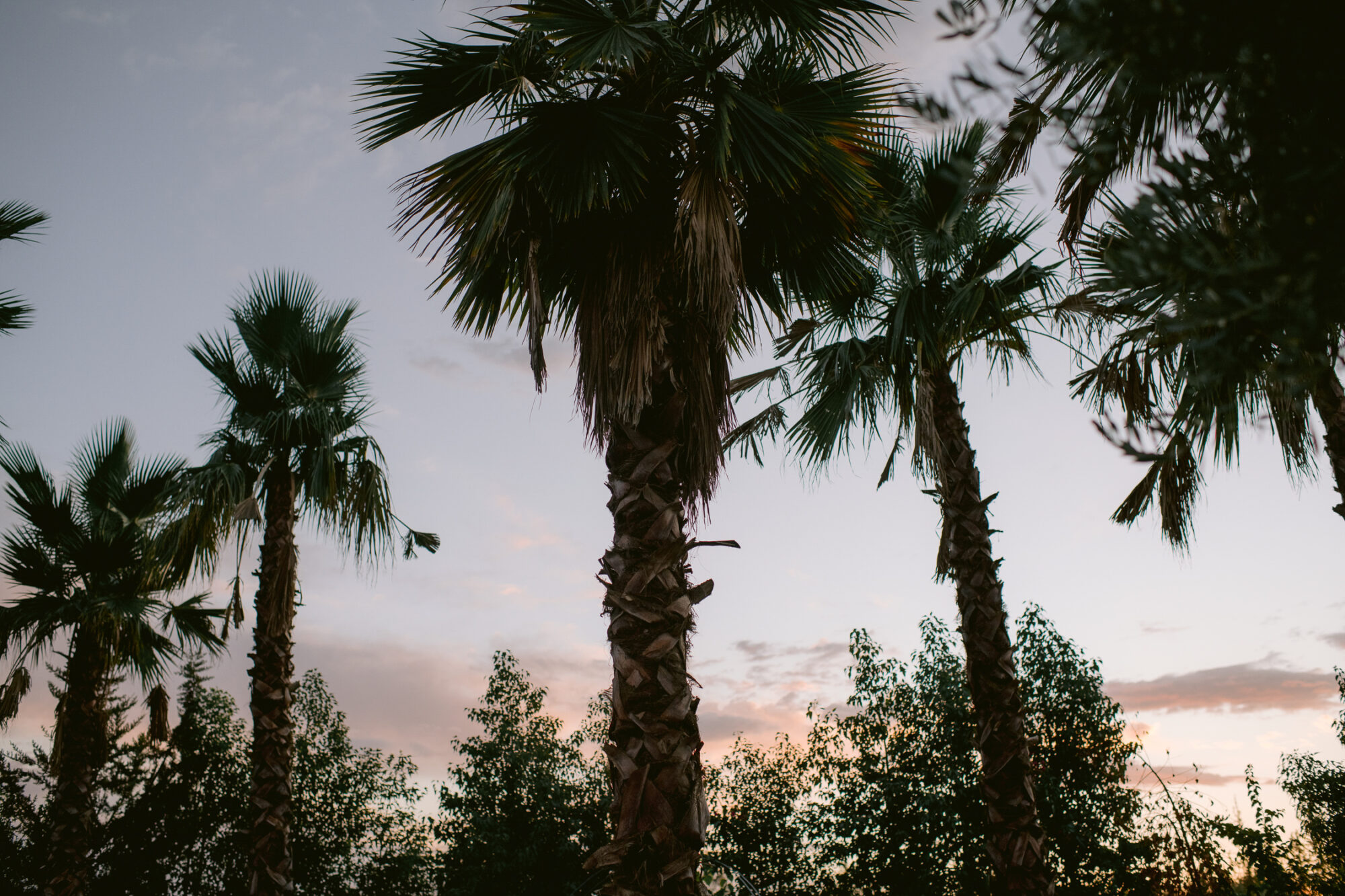 Matilde & Thomas wedding at Marrakech, Morocco, by Alex Tome